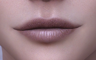 Lips 147