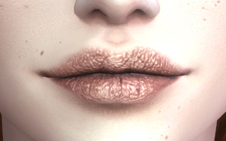 Lips Overlay 08