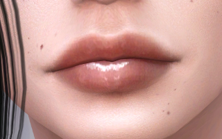 Lips 216