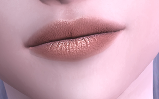 Lips Overlay 10