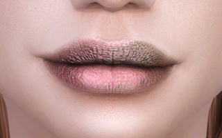 Lips 251