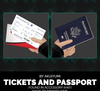 Tickets and passport accessory