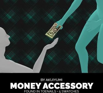 Money accessory